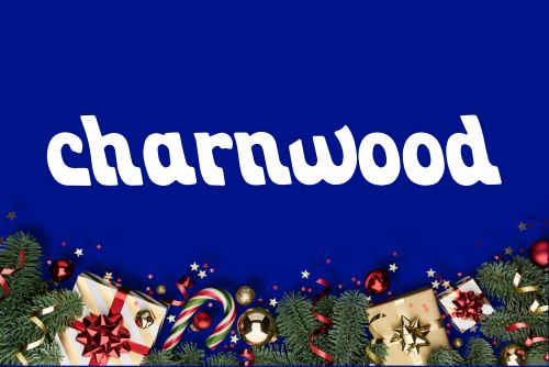 Charnwood Machineries, Bandsaw, planer, dust extractor, SPINDLE MOULDER machine, woodworking, Joe McKenna, professional tools, Hardware, Limerick, Ireland